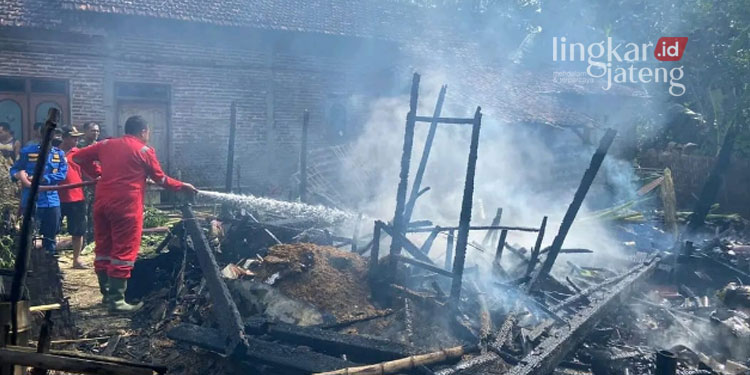 Kebakaran di Sarimulyo Pati 4 Ekor Kambing Tewas Terpanggang