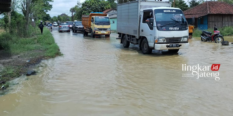 Update Kondisi Banjir di Pati 9 Kecamatan Lumpuh 3