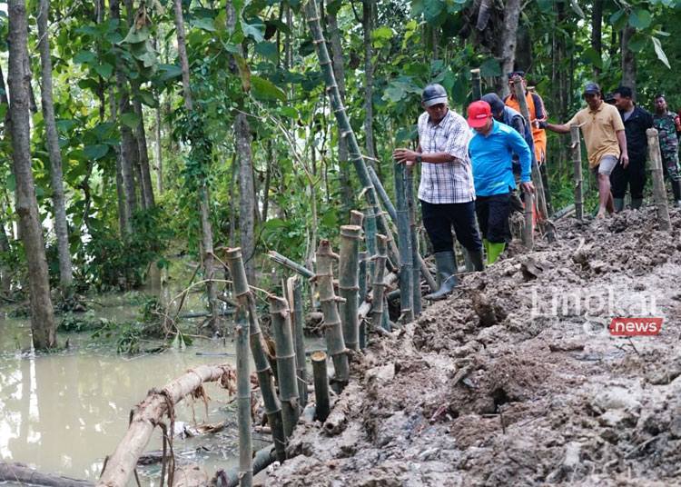 Pj Bupati Pati Henggar Budi Anggoro meninjau lokasi tanggul jebol di Desa Ketitang Wetan Kecamatan Batangan