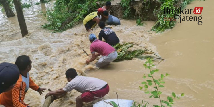 Tanggul Sungai Kaliombo Pati Jebol 100 Rumah Terendam Banjir