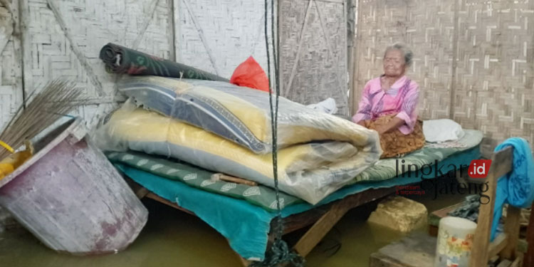 Miris Janda Tua di Pati Pilih Tetap Tinggal Meski Rumah Tergenang Banjir