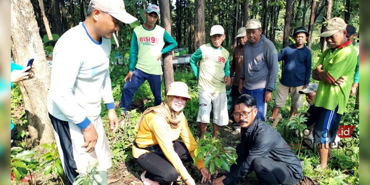 Reboisasi Pegunungan Kendeng Pati Warga Tanam 700 Bibit Alpukat dan Petai