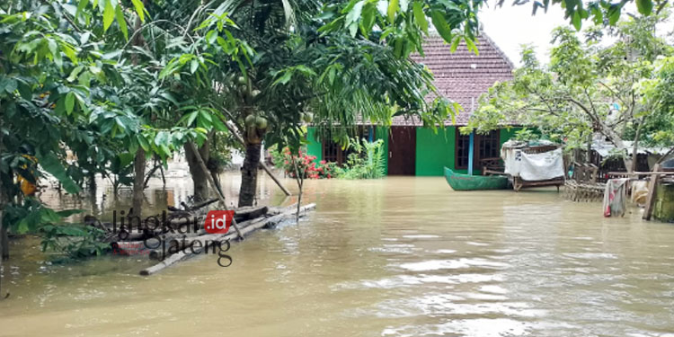 Terisolir Banjir 1.503 Warga Banjarsari Pati Butuh Bantuan