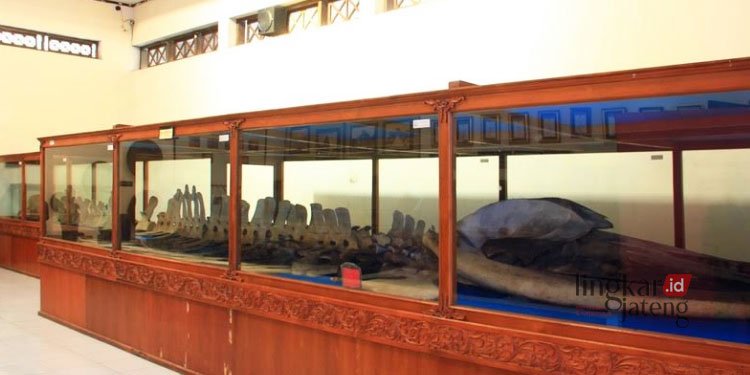 Usulan Pendirian Museum Tak Dieksekusi Disdikbud Pati Ungkap Alasannya