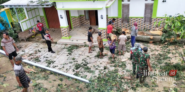Dihantam Angin Kencang, Pohon Tumbang Timpa Rumah di Gunungwungkal Pati