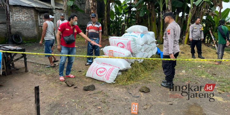 Curi 2 Karung Gabah di Wedarijaksa Pati Mobil Pelaku Dihentikan Petani