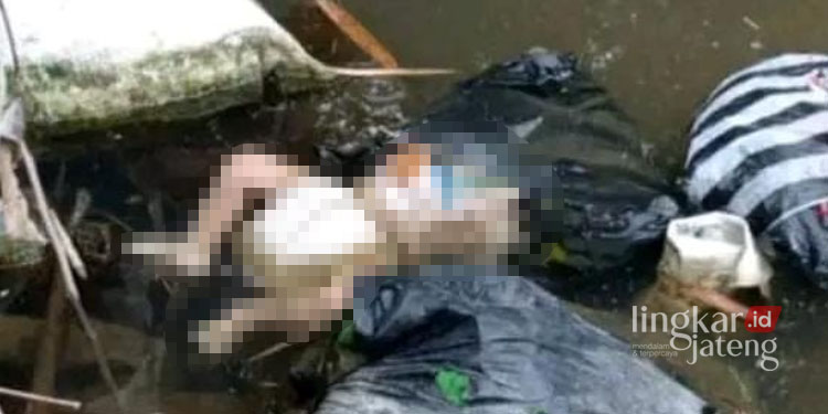 Bayi 3 Bulan yang Dilaporkan Hilang Ditemukan Tewas di Sungai Kaliampo Pati