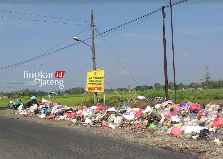 Bau Busuk Jalan Guyangan Jetak Pati Dipadati Tumpukan Sampah