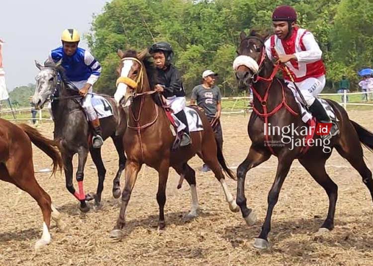 Seru 31 Atlet Meriahkan Lomba Pacuan Kuda Bersih Desa Jakenan Pati