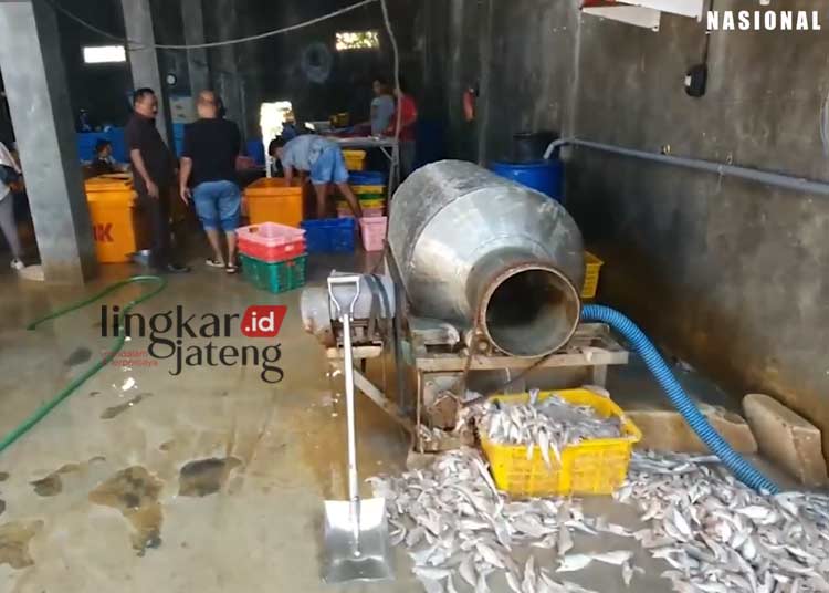 Timbulkan Polusi Dewan Ancam Tutup Gudang Filet Ikan di Banyutowo Pati
