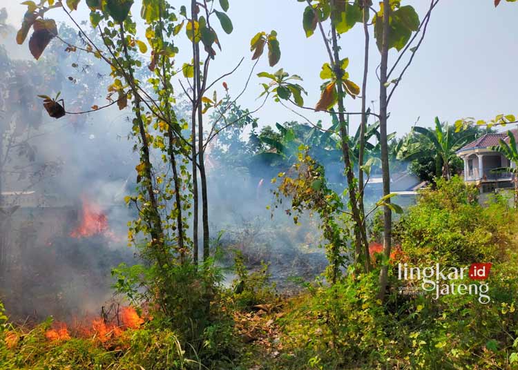 Kebakaran Lahan di Pati Meningkat Akibat Bakar Sampah