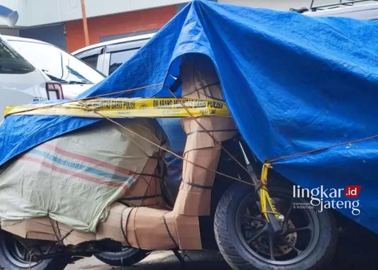 Penyelundupan Puluhan Kendaraan ke Timor Leste Digagalkan Pelaku Dibekuk di Pati