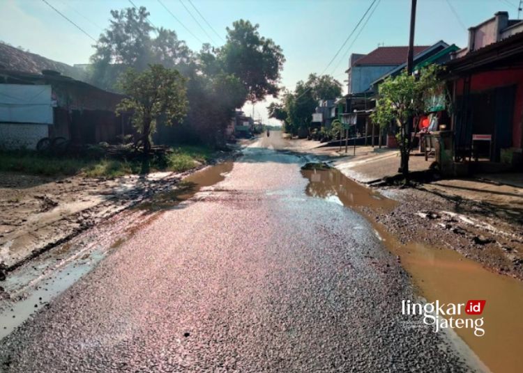 Banyak Berlubang 400 Meter Jalan Tambakromo Gabus Pati Butuh Perbaikan