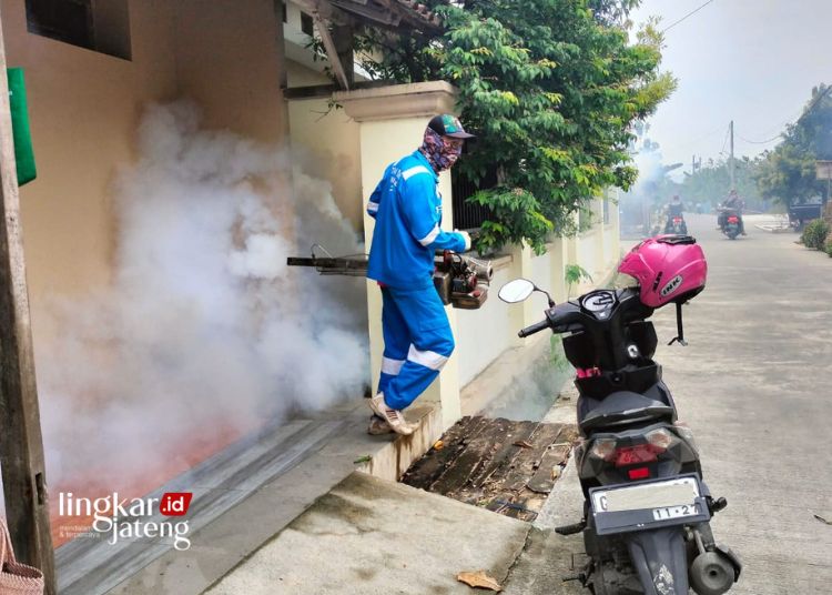 91 Kasus DBD di Pati Warga Diimbau Utamakan PSN Ketimbang Fogging