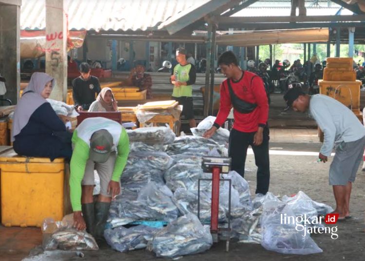 Hasil Tangkapan Ikan Nelayan di Pati Melimpah Sehari Bisa Dapat 8 Kuintal