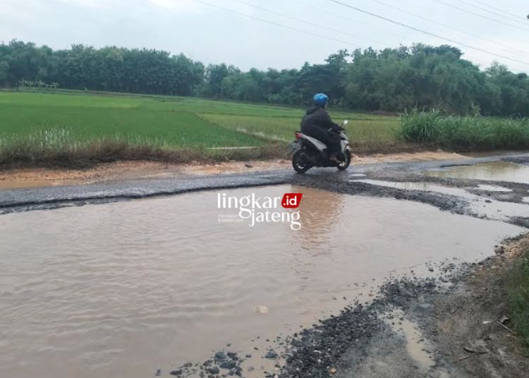 Setahun Lebih Tak Diperbaiki Jalan Winong Gabus Pati Berlubang hingga 100 Meter